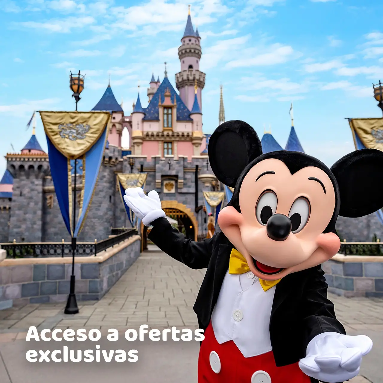 acceso a ofertas exclusivas